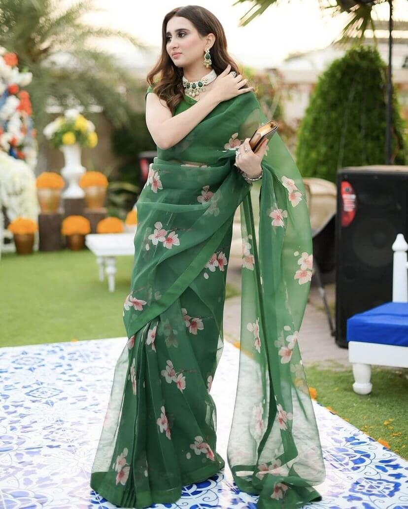 Vleien Saree design